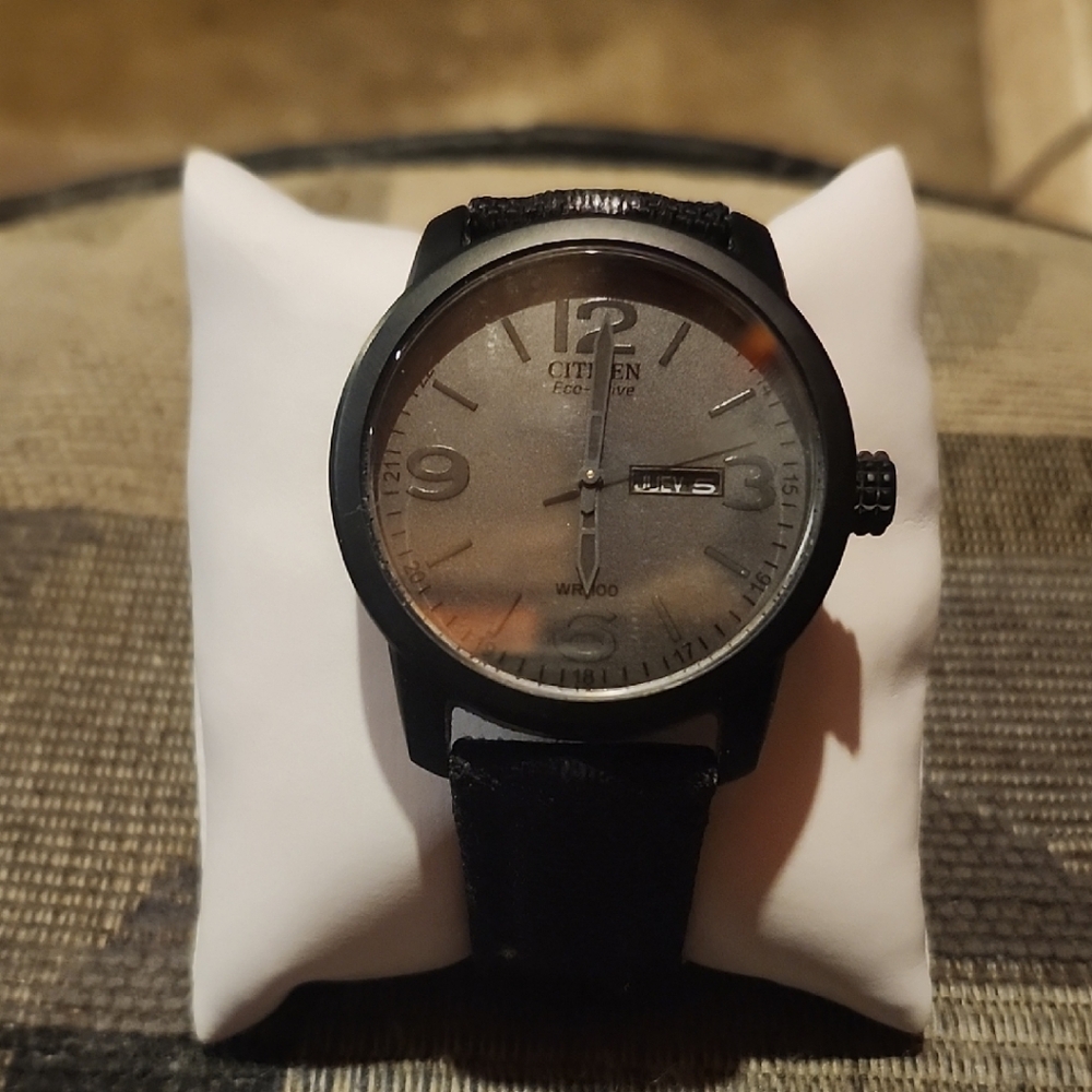 Citizen Eco-Drive Black Dial Watch